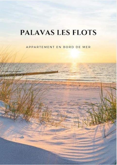 Appartement Palavas Les Flots T2 + Parking Prive 外观 照片